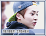 mc-cashew2